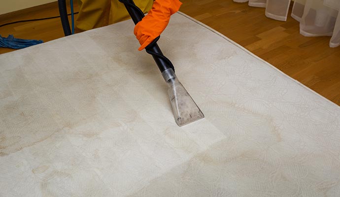 Person cleaning mattress with equipment Person cleaning mattress with equipment