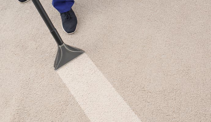 Worker removing dirt and performing color restoration on a carpet.