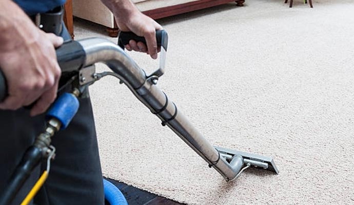 Professional worker cleaning carpet
