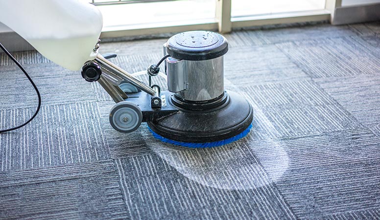 Professional carpet shampoo cleaning service 