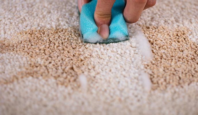 Bleach Spot & Stain Removal from Carpets | Pueblo & Fountain, CO