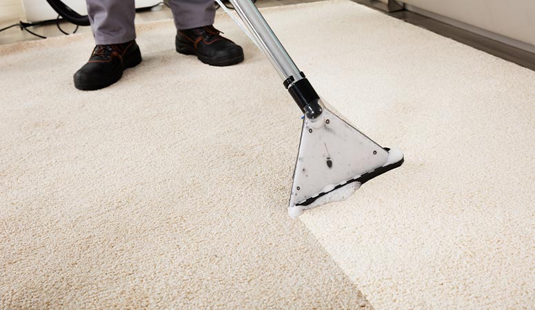 Expert shampoo cleaning of living room carpet 