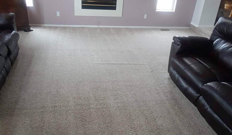 fresh carpet on the floor