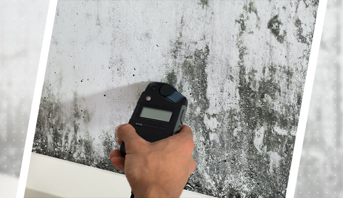 mold inspection with digital device